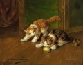 chatons jouant un point d’écoute Alfred Brunel de Neuville